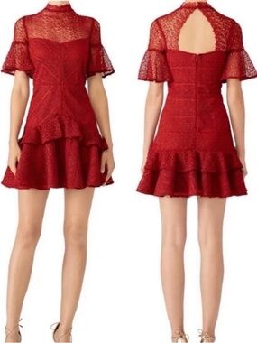 AMUR Revolve Mila Mini Lace Ruffle Dress Spice Size 6